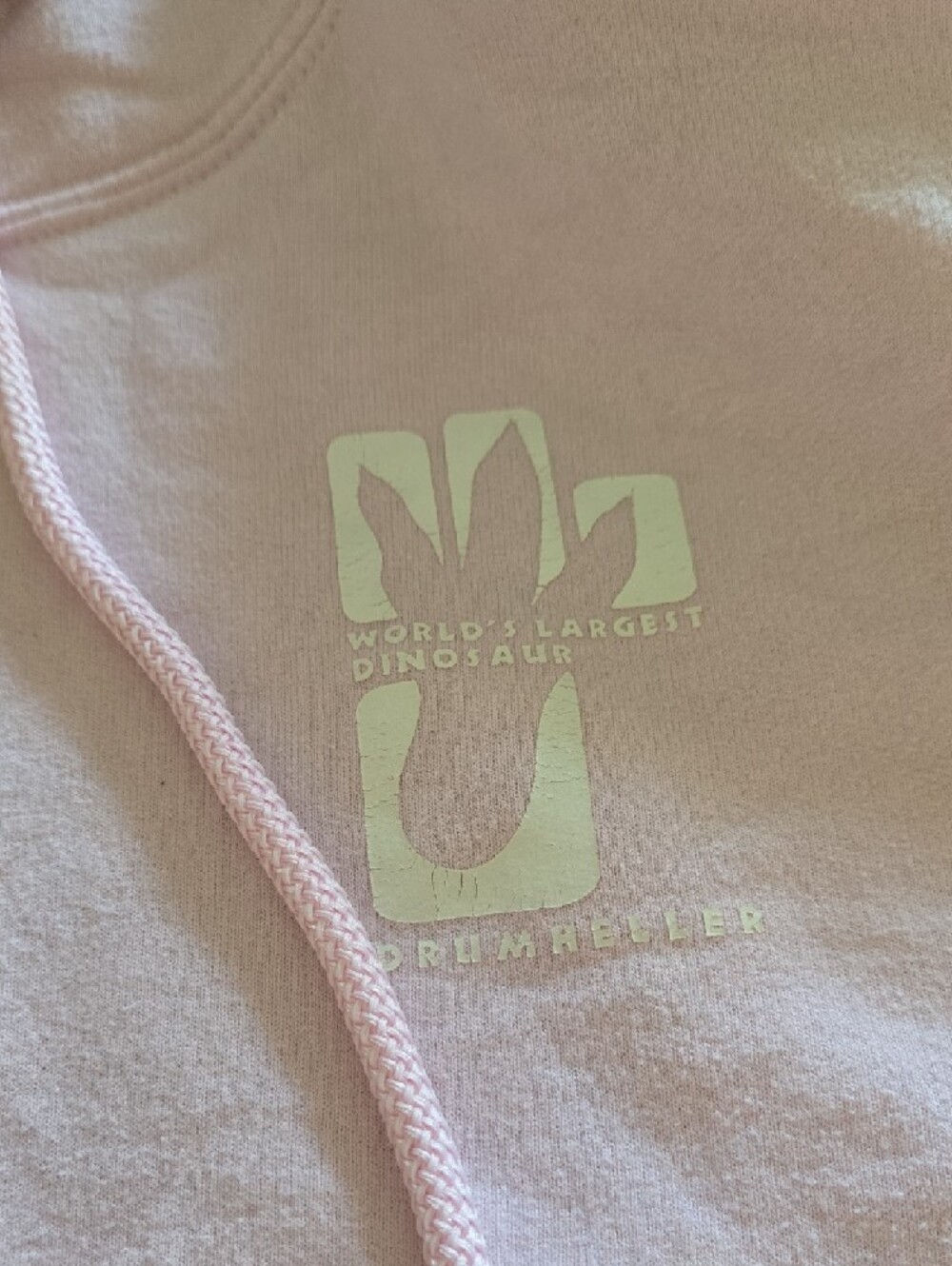Light Pink Drumheller 🦖 Hoodie (2 For $25) - Picture 2 of 3